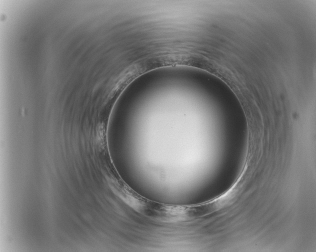 X0000060760144200511141241