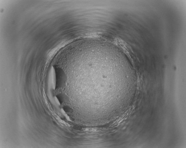 X0000060760145200511141240