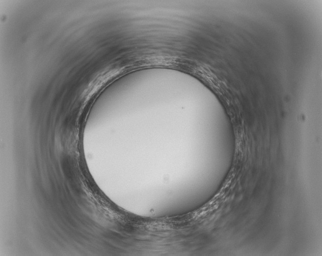 X0000060760146200511141240