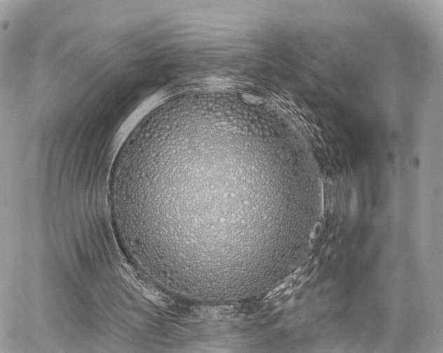 X0000060760147200511141240