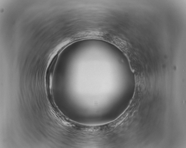 X0000060760148200511141240