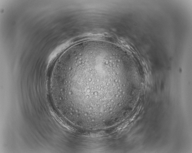 X0000060760149200511141240