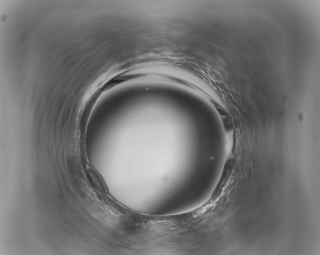 X0000060760150200511141240