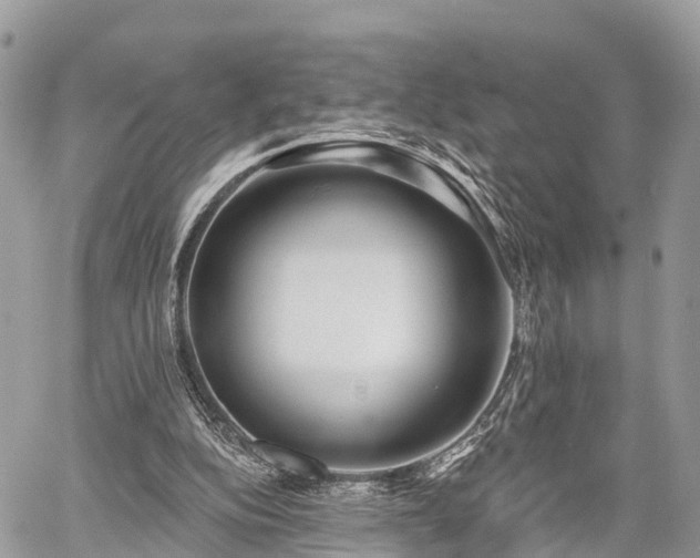 X0000060760152200511141240