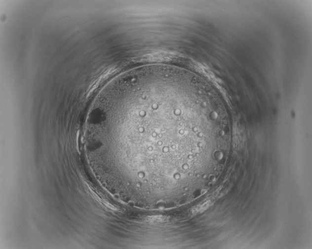 X0000060760153200511141240