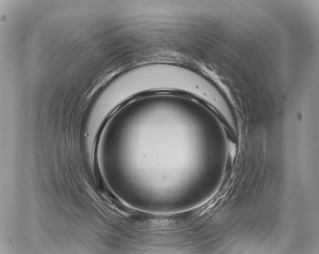 X0000060760154200511141240