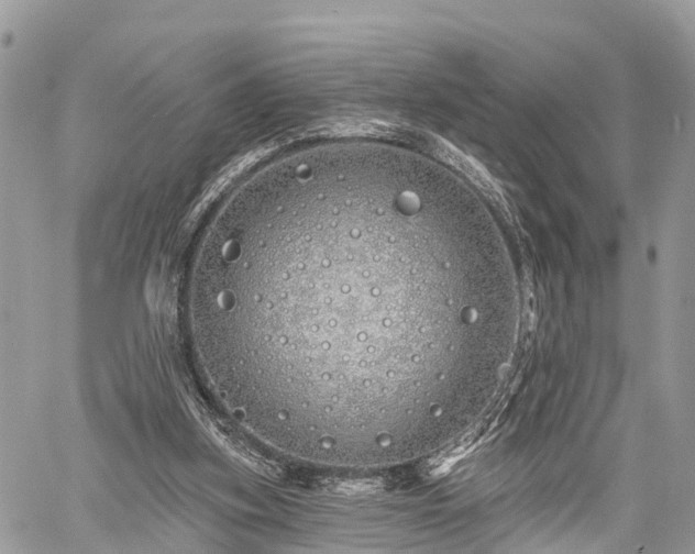 X0000060760155200511141240