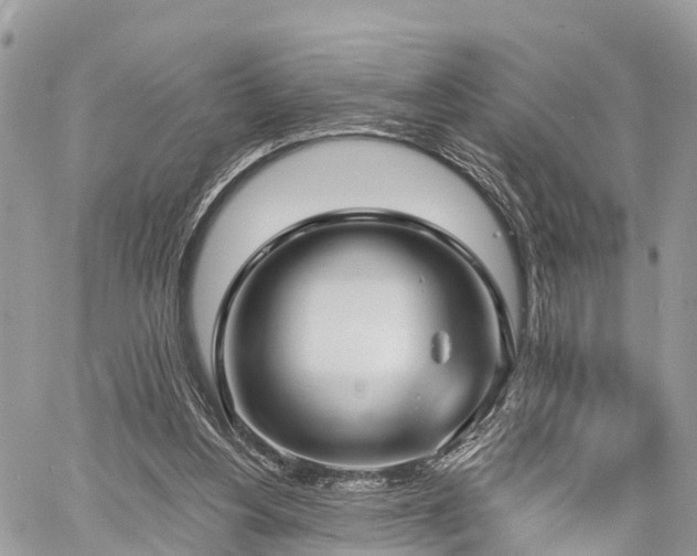 X0000060760156200511141240