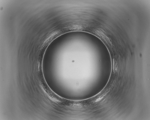 X0000060760157200511141240