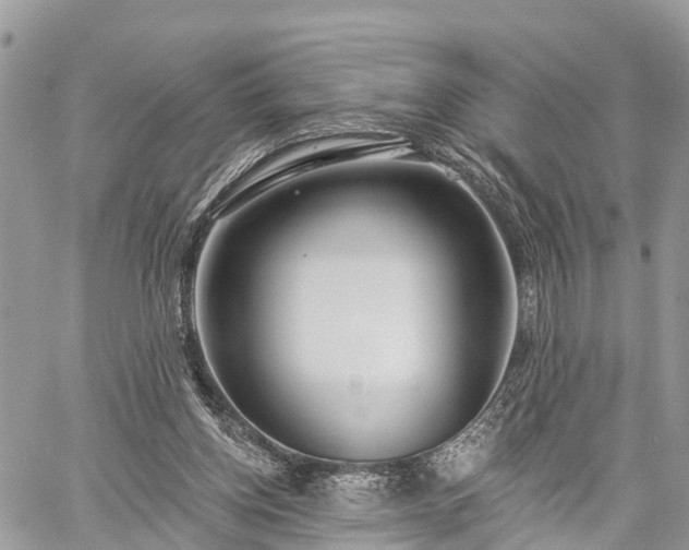 X0000060760158200511141240