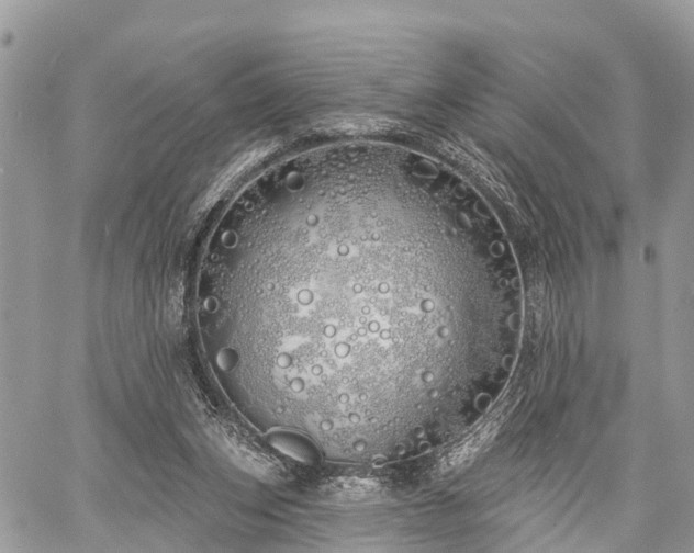 X0000060760159200511141240