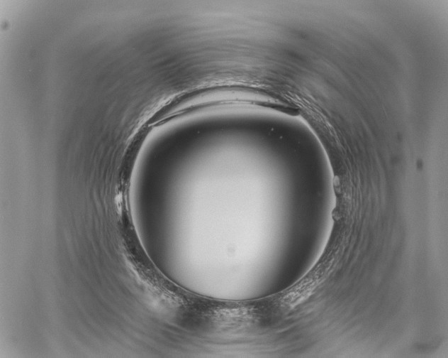 X0000060760160200511141240