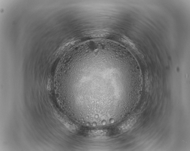 X0000060760161200511141240