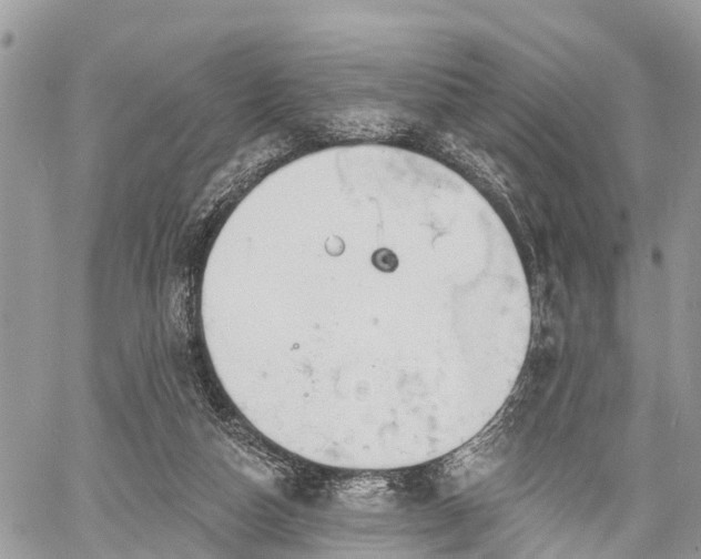 X0000060760162200511141240