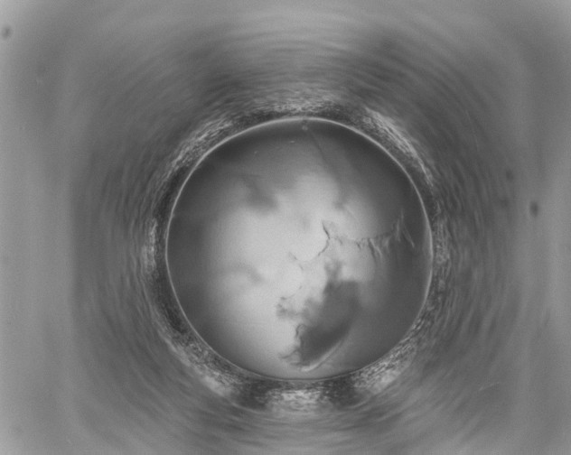 X0000060760163200511141240