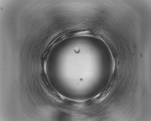 X0000060760164200511141240