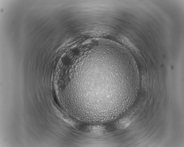 X0000060760165200511141240