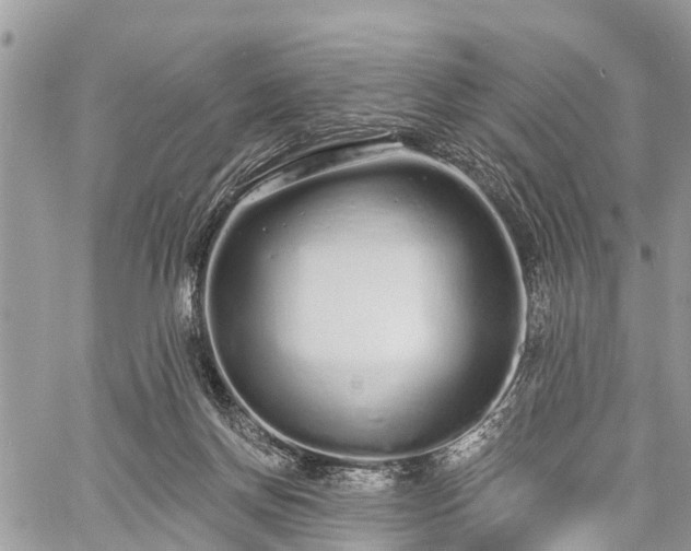 X0000060760166200511141240