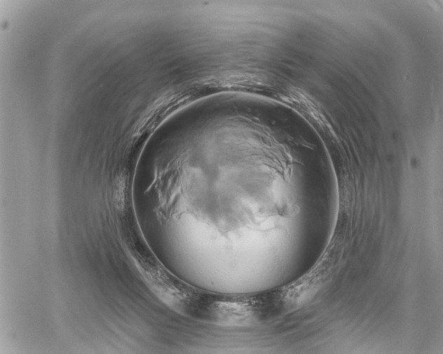 X0000060760167200511141240