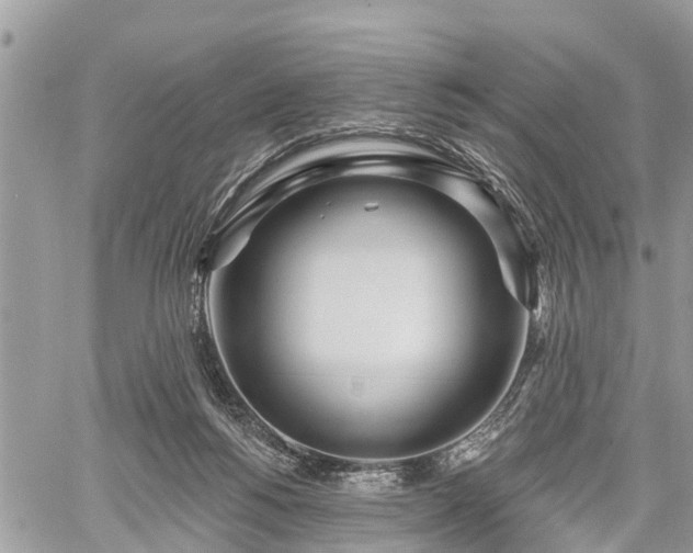 X0000060760168200511141240