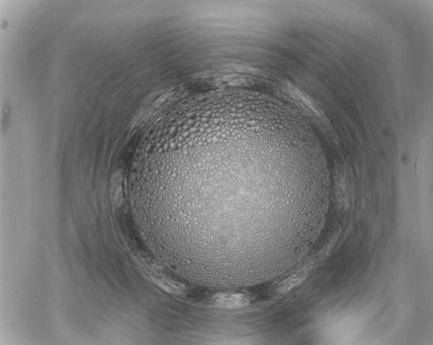 X0000060760169200511141240