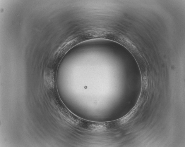 X0000060760170200511141240