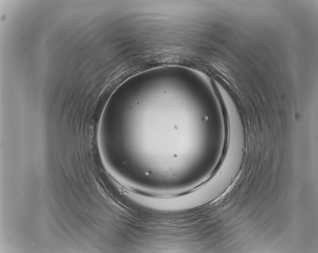 X0000060760171200511141240