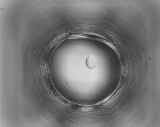 X0000060760172200511141240