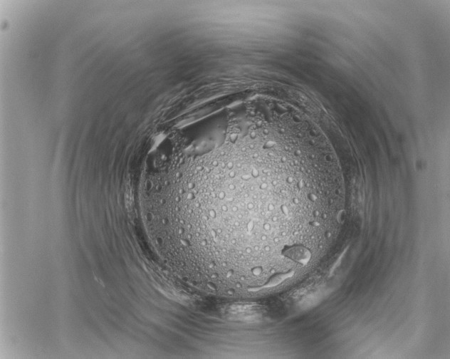 X0000060760173200511141240