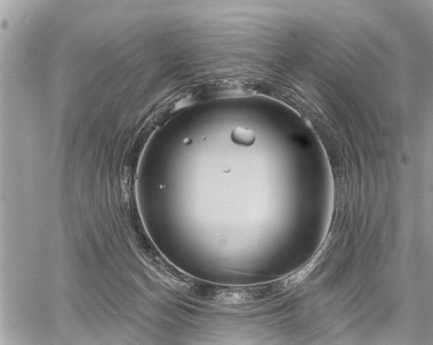 X0000060760174200511141240