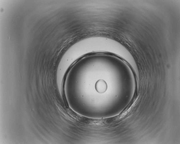 X0000060760175200511141240