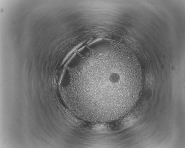 X0000060760177200511141240