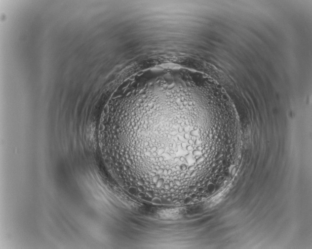 X0000060760178200511141240