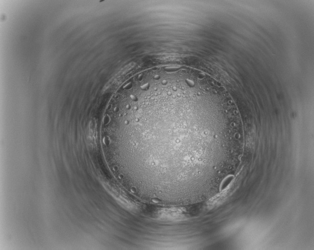 X0000060760179200511141241