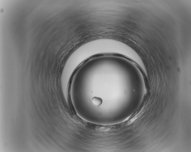 X0000060760180200511141241