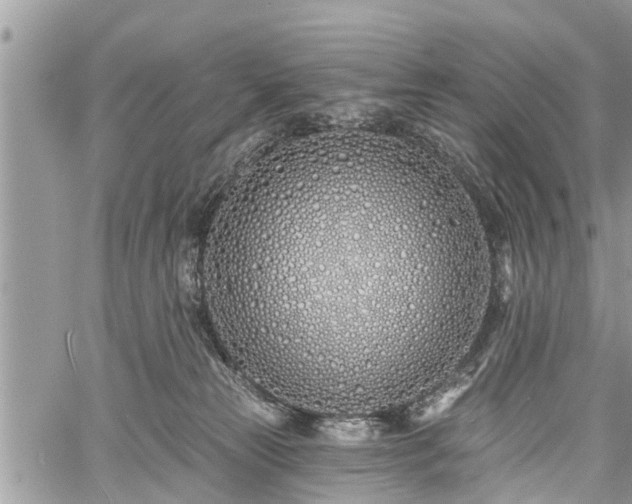 X0000060760181200511141241