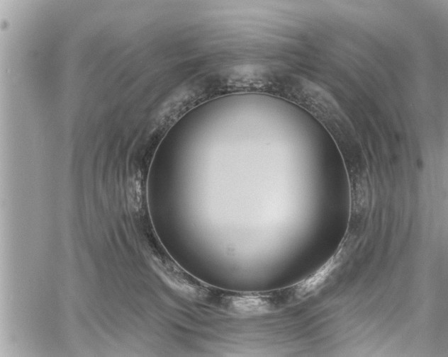 X0000060760183200511141241