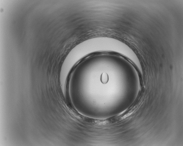 X0000060760185200511141241