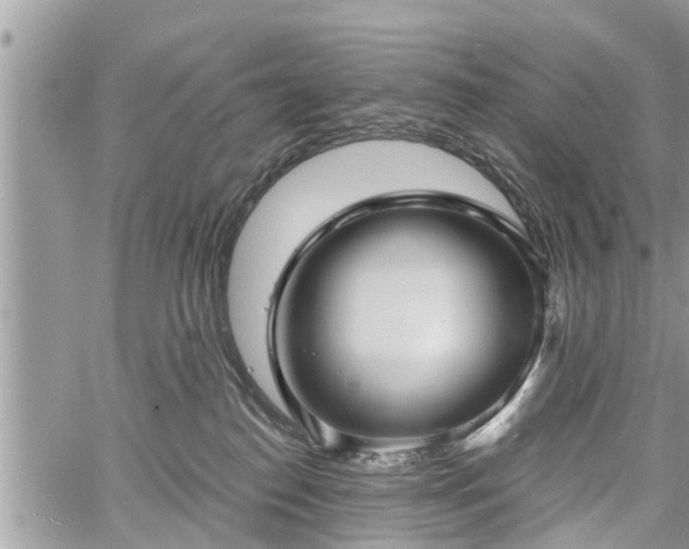 X0000060760186200511141241