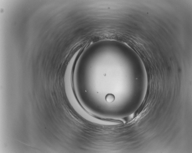 X0000060760188200511141241