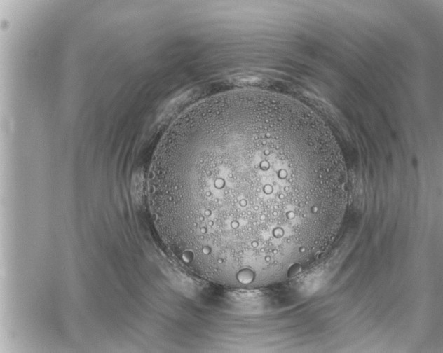 X0000060760189200511141241