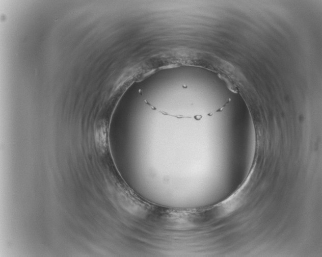 X0000060760190200511141241