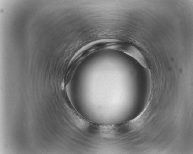 X0000060760192200511141241