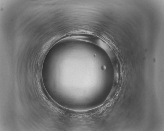 X0000060760193200511141240