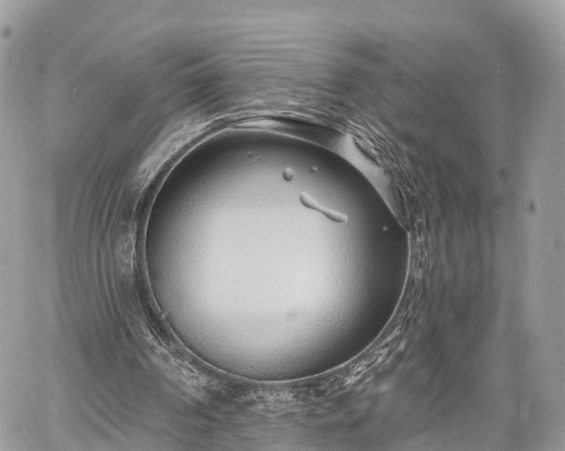 X0000060760194200511141240