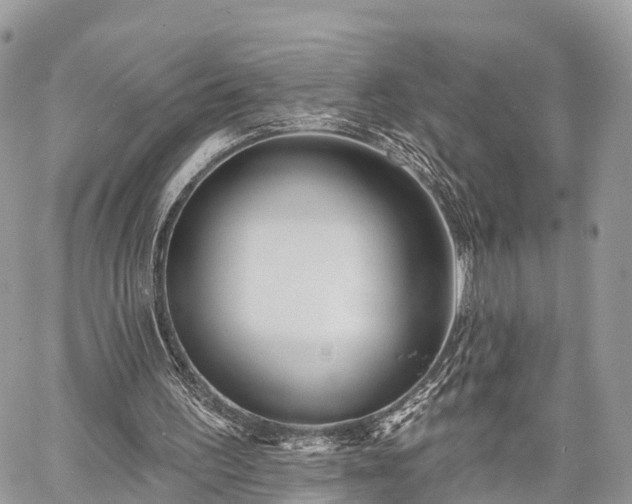 X0000060760195200511141240