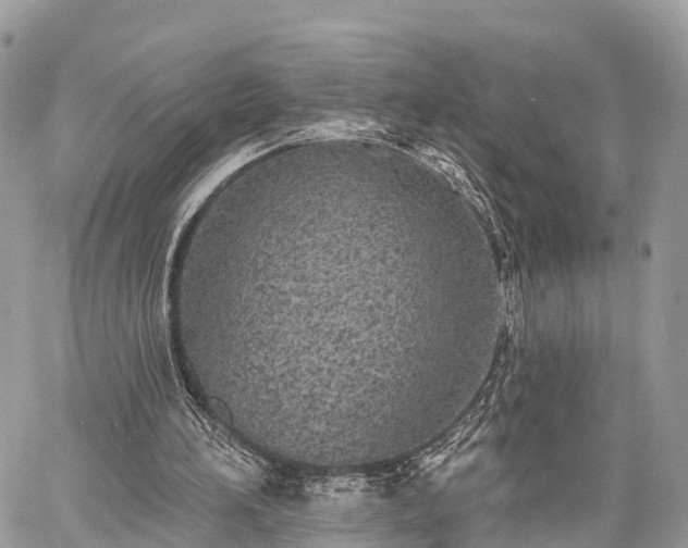 X0000060760196200511141240