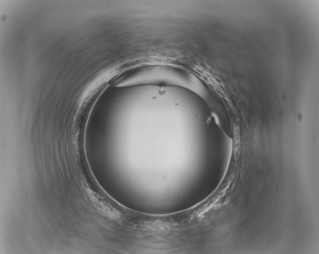 X0000060760197200511141240