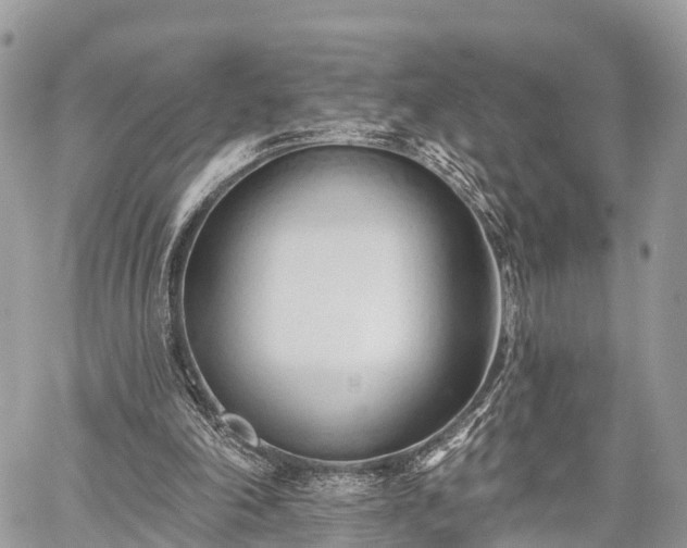 X0000060760198200511141240