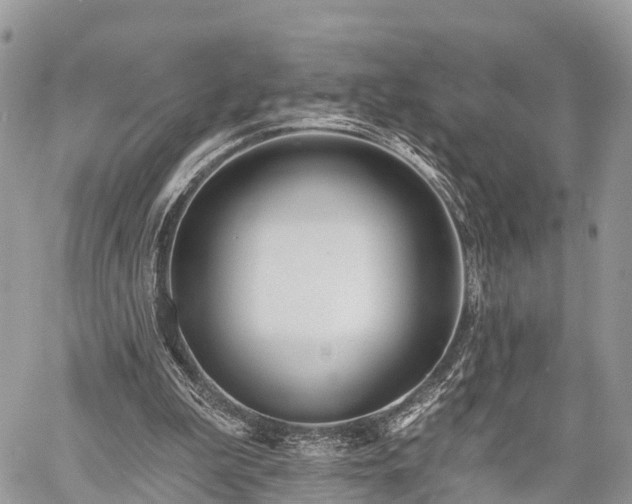 X0000060760199200511141240